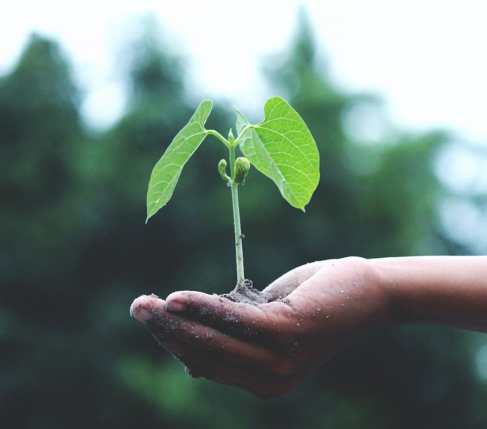 ���쿵��������AG�콢���Ƴ�������ù����